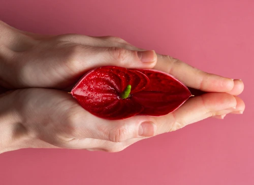 Lazerle vajina daraltma ameliyatı Ankara meral sönmezer 