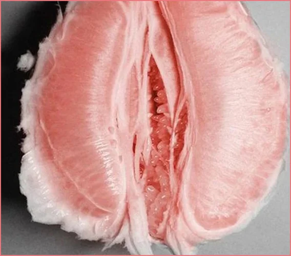 Labioplasti ameliyatı sonrası ilk ne zaman cinsel ilişki olmalı?