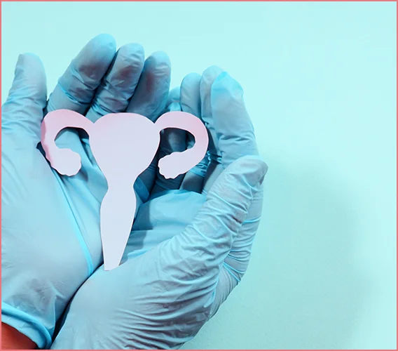 HSG ( Rahim Filmi ) Çektirdikten Sonra Hamile Kalabilir Miyim?